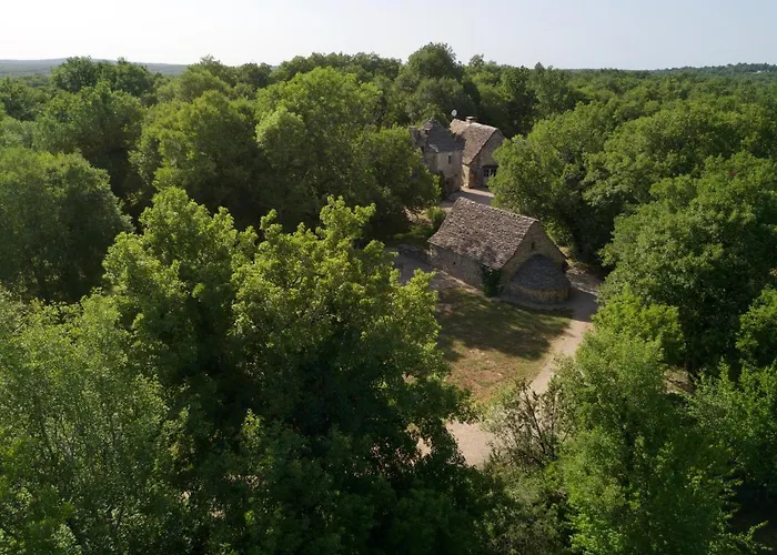 Cabane Lodge Avec Spa Privatif